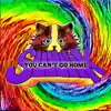Swwik - You Can't Go Home - Single